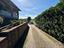 Immagine 8