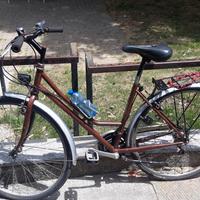 bici da donna 28 marrone Marca Bottecchia