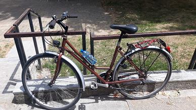 bici da donna 28 marrone Marca Bottecchia