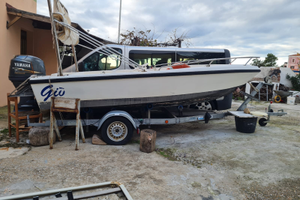 Barca + Motore + Carrello + Dot.di bordo