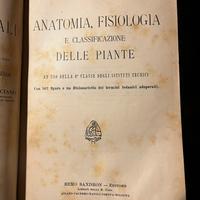 Botanica-Anatomia delle piante