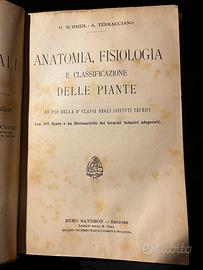 Botanica-Anatomia delle piante