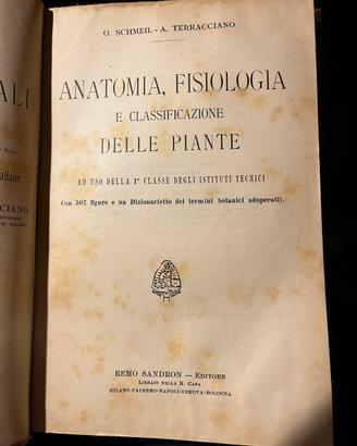 Botanica-Anatomia delle piante