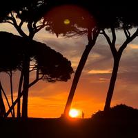 Appartamento nuovissimo suvereto