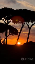 Appartamento nuovissimo suvereto