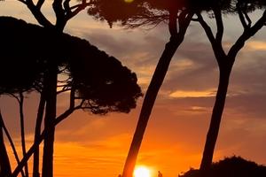 Appartamento nuovissimo suvereto