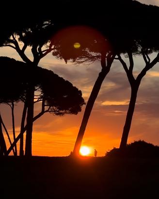 Appartamento nuovissimo suvereto