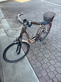 Bici elettrica