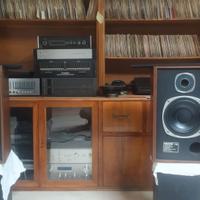 TANNOY T115 PERFETTE