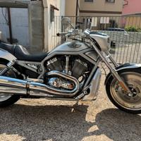 Harley V-Rod del Centenario