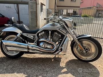 Harley V-Rod del Centenario