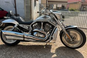 Harley V-Rod del Centenario