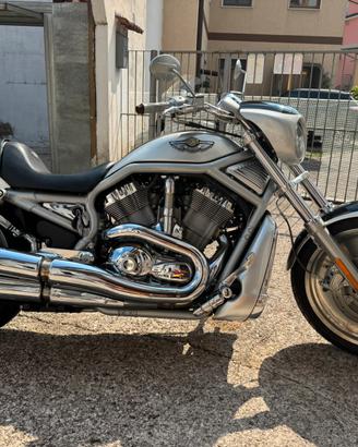 Harley V-Rod del Centenario