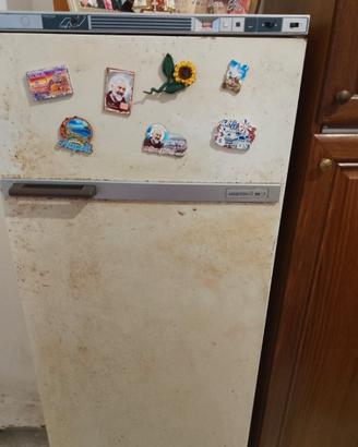 Frigo