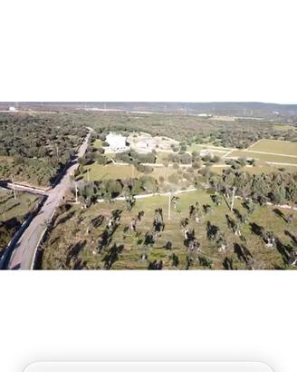 Masseria del 1700 con 30000 mq di terreno