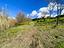 Immagine 21