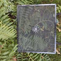 parascintille piccolo NUOVO per camino/caminetto 