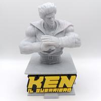 Ken il Guerriero Busto Ken Shiro Statua Busto 3D