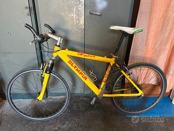 Bicicletta tutta alluminio