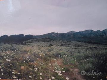 120000 mq -terreno agricolo