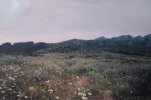 120000 mq -terreno agricolo