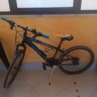 Bicicletta bambino misura 24