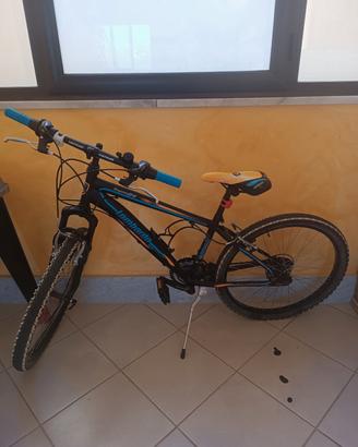 Bicicletta bambino misura 24
