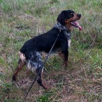 Disponibile per MONTA