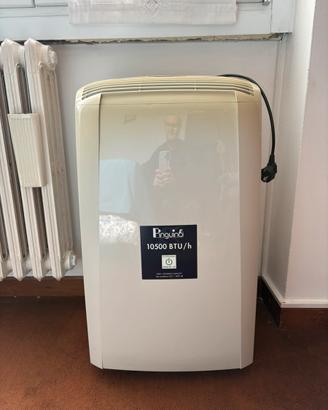 Coppia Condizionatori portatili Pinguino De Longhi