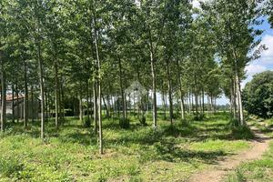 TER. RESIDENZIALE A BOFFALORA SOPRA TICINO