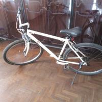 bicicletta mbm citybike