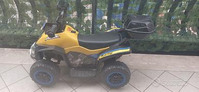 Quad elettrico