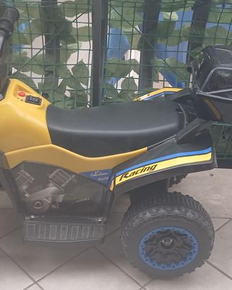 Quad elettrico