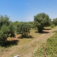 Terreno agricolo 5.200 m² con possibilità di fabbr