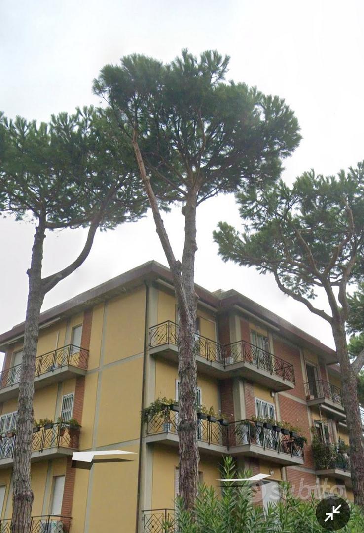 Appartamento – Lucca, Corte Zappelli - Vista 5