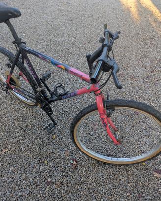Mountain Bike Giant Coldrock 
