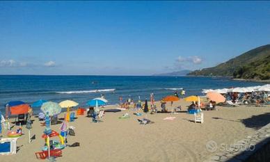 Monolocale per due Caprioli/Palinuro