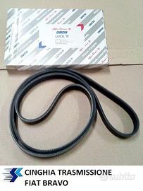 Cinghia trasmissione Fiat Bravo(1998-2001)