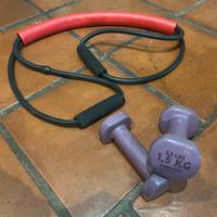 Coppia pesi 1,5 kg x 2 + Elastico