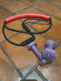 Coppia pesi 1,5 kg x 2 + Elastico