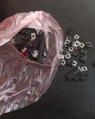 Tasti per Notebook LenovoThinkPad X301