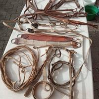 Finimenti per cavallo di origine Argentina
