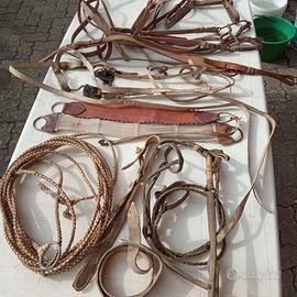 Finimenti per cavallo di origine Argentina
