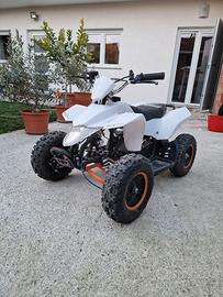 miniquad atv 8 50 cc