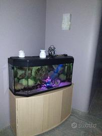 Acquario di 200litri