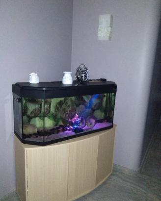 Acquario di 200litri