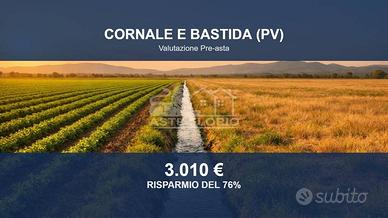 Immobile in asta di 246 m² a Cornale e Bastida