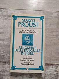 Marcel Proust - All'ombra delle fanciulle in fiore