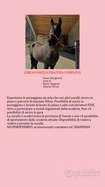 Mezza fida/fida completa