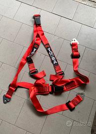 Coppia cinture TOORA